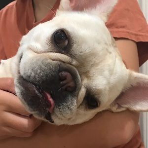 Meet your Posher, Dakota